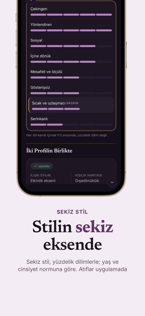 Sekiz stil dağılımı: her stilin yüzdelik dilimi çubuklarla